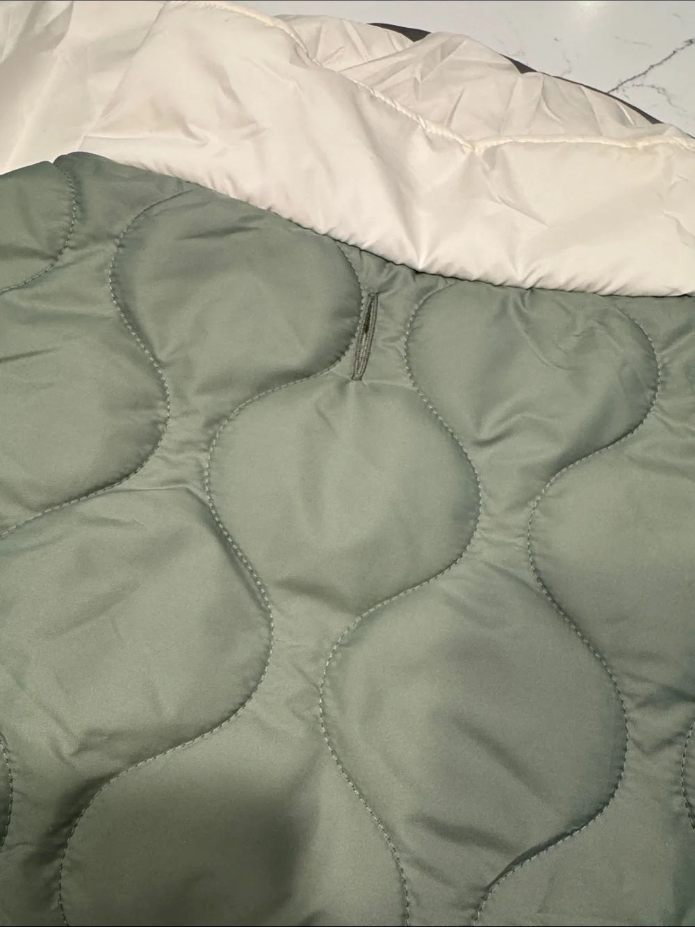 Quilted light Green dog coat 32degrees